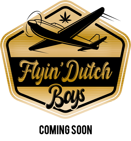 Dutch Boy Logo